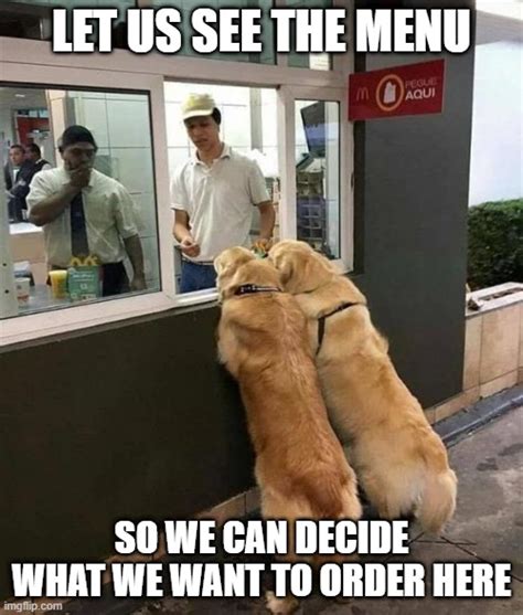 Dog Customers Imgflip