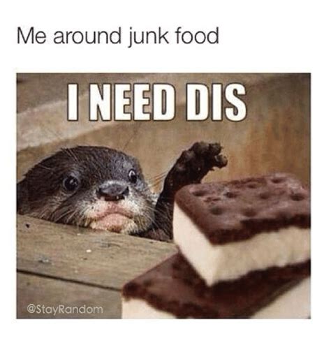 The best memes from instagram, facebook, vine, and twitter about i need food. Me Around Junk Food I NEED DIS Random | Food Meme on SIZZLE