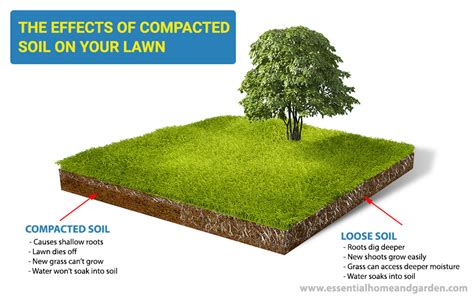 If the soil is very compacted, use jonathan green love your soil® to loosen and aerate it. How To Loosen Compacted Soil And Improve Your Lawn