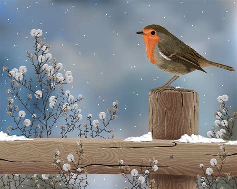 Animal Bird Robin Fence Winter Tree Snow Artistic Wallpaper