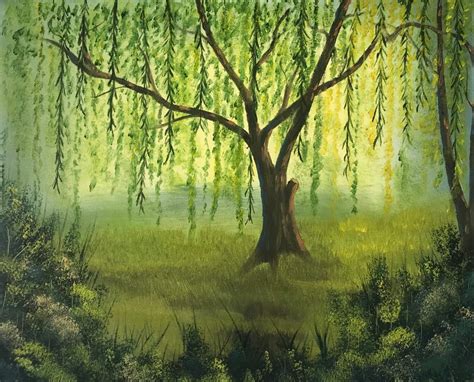 Willow Tree Sunlight