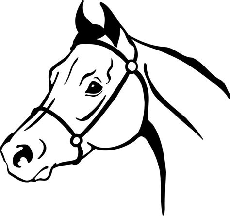 Horse Head Royalty Free Vector Clip Art Illustration Horse Head