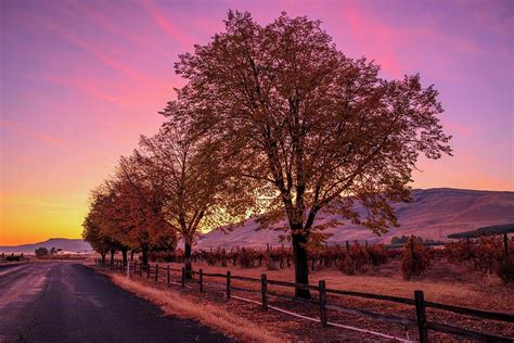Fall Sunrise Photograph By Lynn Hopwood