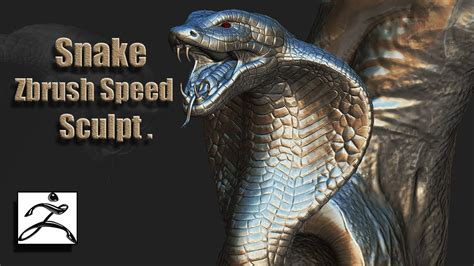 Snake Zbrush Speed Sculpt Youtube