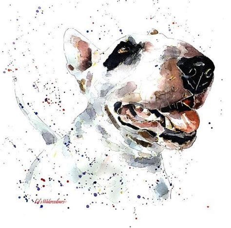 Bull Terrier Smile Print Watercolour A3 3040cm1612 Perros Bull Terrier