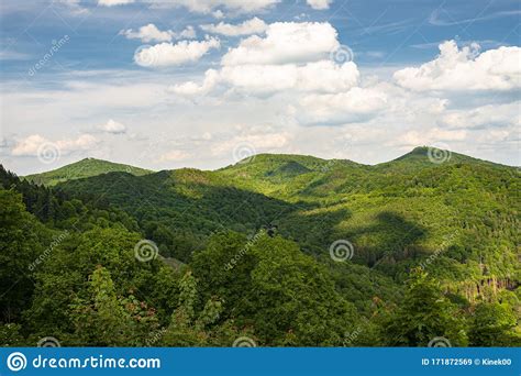 Landscape Of Green Forest On The Hills In Summer With Blue Sky And