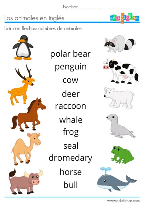 Animales En InglÉs Vocabulario Ejercicios Flashcards Learning
