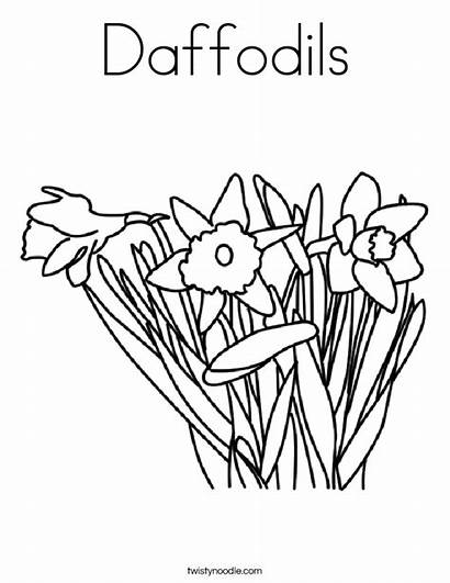 Coloring Daffodils Built California Usa