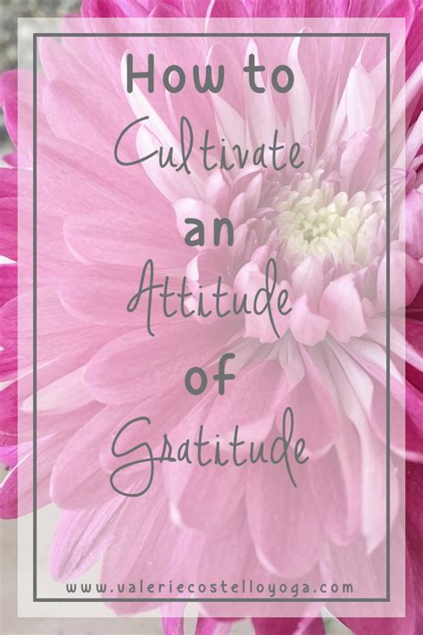 4 Easy Practices To Help You Cultivate An Attitude Of Gratitude Take Care Of Yourself Live For