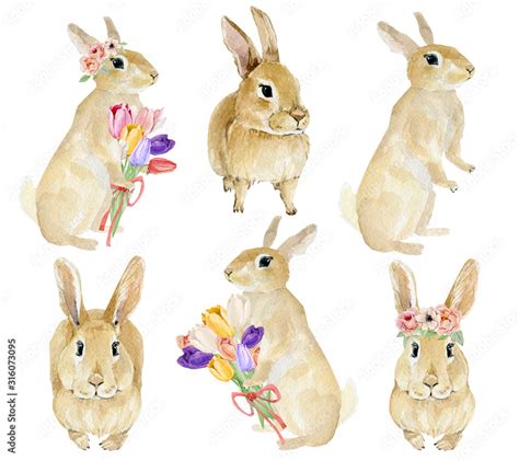 Easter Rabbit Clipart Set Hand Drawn Watercolor Animal Forest With