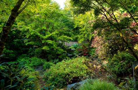 Your email is never published or shared. Photos: Bellevue Botanical Gardens is one of the prettiest ...