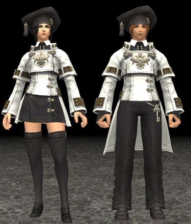 So, question time, is there any guide of how to use the gladiator / paladin while leveling? Scholar Empyrean equipment guide - FFXIclopedia, the Final Fantasy XI wiki - Characters, items ...