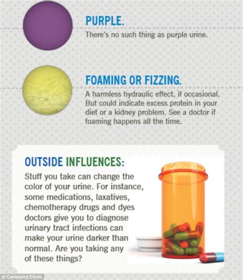 What does your pee say about your health? New diagram shows when to be ...