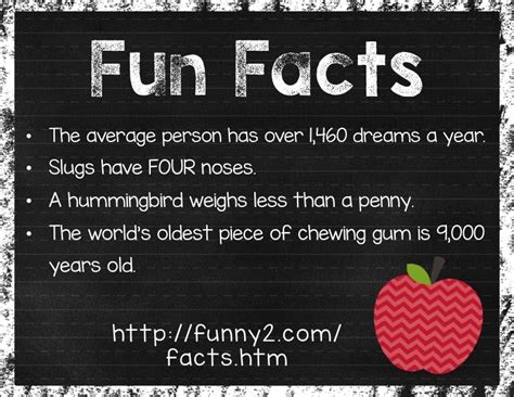 Fun Facts Website Thehappyteacher