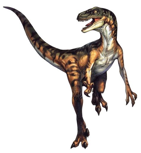 Velociraptor Extinct Animals