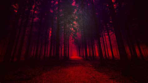 1366x768 Artistic Red Forest Laptop Hd Hd 4k Wallpapersimages