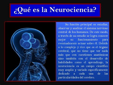 Neurociencia Y Aprendizaje