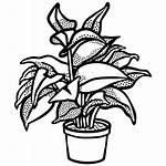 Plant Drawing Potted Plants Clipart Getdrawings