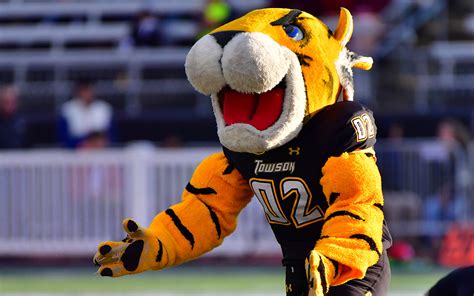Which Tiger Mascot Does It Best