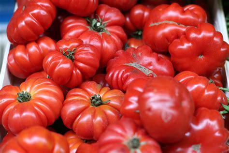 The 15 Best Beefsteak Tomatoes To Grow In 2021 Food Gardening Network