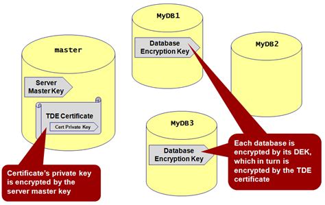 Transparent Data Encryption In Sql Server 2008 Blog