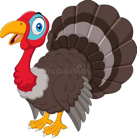 cartoon turkey isolated on white background stock vector illustration of butcher seasonal
