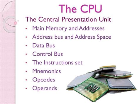 Ppt The Cpu Powerpoint Presentation Free Download Id2958094