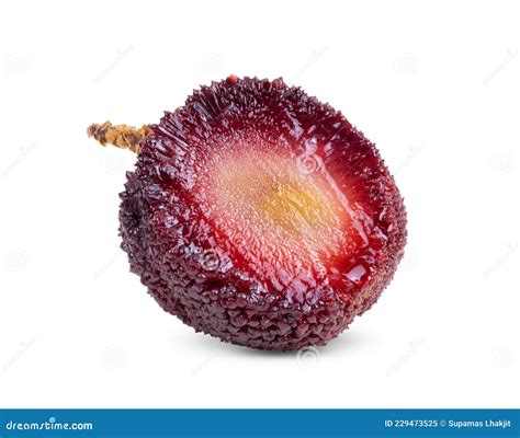 Waxberry Isolated On White Stock Image Image Of Arbutus 229473525