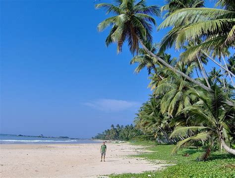 Exploring The Best Beaches Of Sri Lanka Sandy Beach Trips