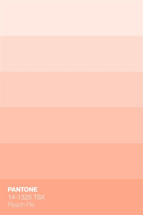 Peach Color Palettes Pantone Colour Palettes Pastel Colour Palette