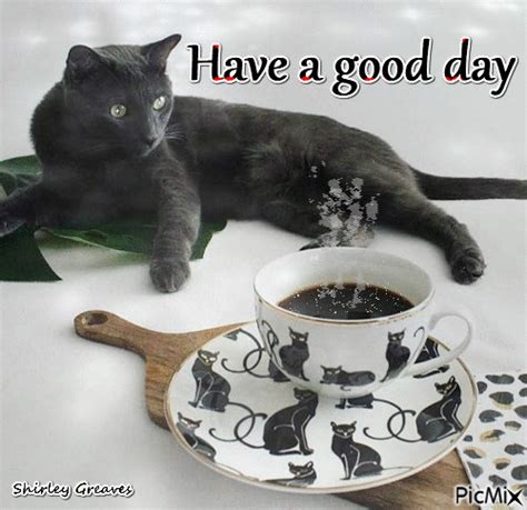 Black Cat, Have A Good Day Pictures, Photos, and Images for Facebook