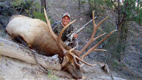 Elk Hunting In New Mexico Trophy Ridge Outfitters