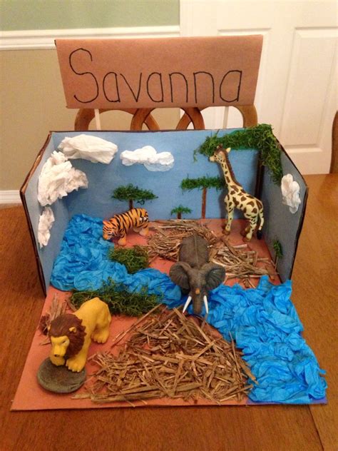Savanna Biome Project Diorama Kids Biomes Project Kids Art Projects