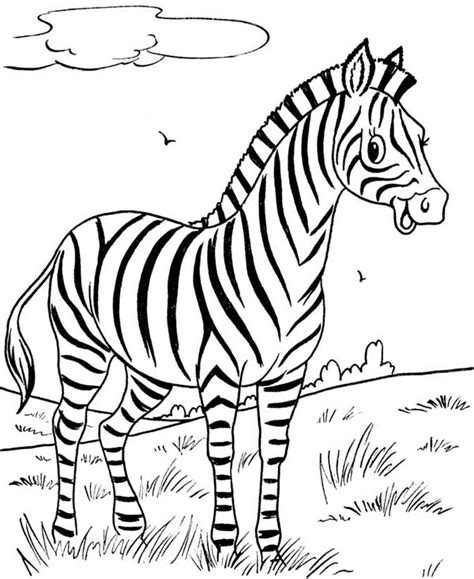 Cute Baby Zebra Coloring Pages At Free Printable