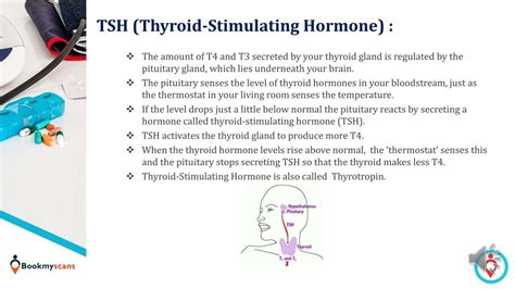 Ppt Thyroid Function Test Get An Overview Powerpoint Presentation