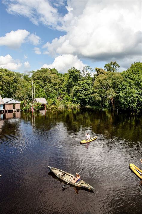 Amazon Rainforest Peru Cruise Travel Amazon Rainforest Trip