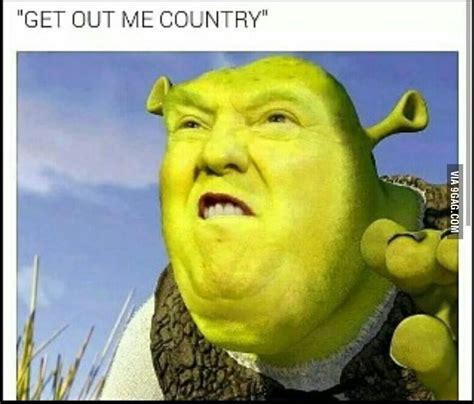 I think this whole wall thing is to try and keep somebody out. Donald Shrek, or Shreknald Trump? - 9GAG
