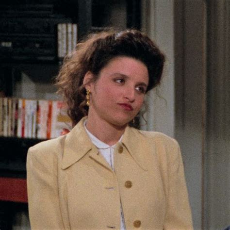 Elaine Benes Seinfeld Icon