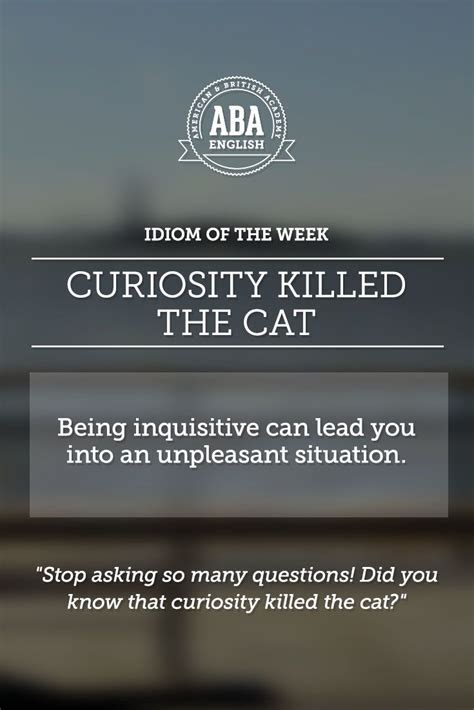 Being inquisitive about other people's affairs can get you in trouble. Where did the phrase curiosity killed the cat come from ...