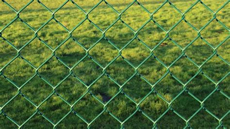 Free Photo Fence Wire Mesh Fence Green Free Image On Pixabay 229434