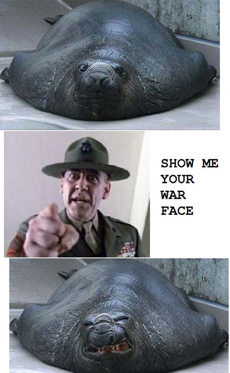 Show Me Your War Face Rfunny