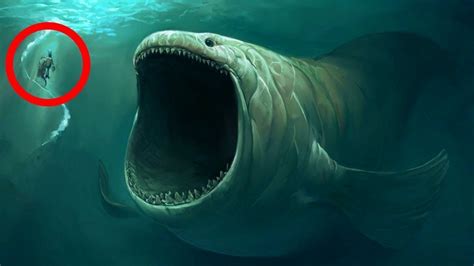 Most Amazing Deep Sea Creatures Youtube