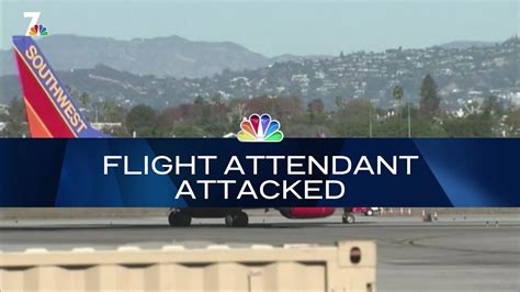 Nightly Check In Flight Attendant Attacked Nbc 7 San Diego Youtube