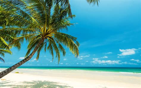 Download Wallpapers Tropical Island Ocean Summer Travel