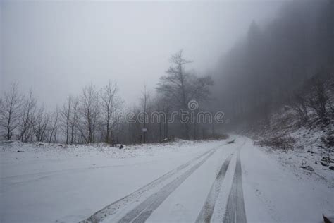 Foggy Road In The Forest Stock Photo Image Of Road Mist 67909756