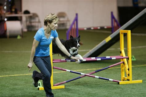 Agility Competition