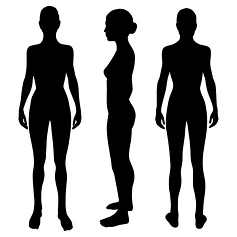 Woman Body Vector Black Silhouettes In Front Side And Back View