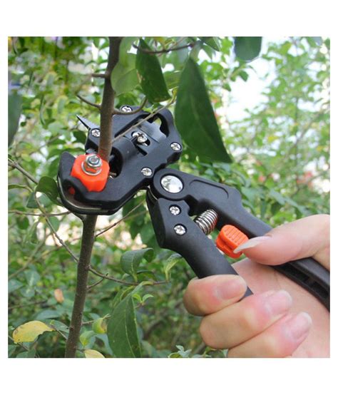 Get the best deals on fruit trees. Garden Nursery Fruit Tree Pruning Shears Scissor Grafting ...