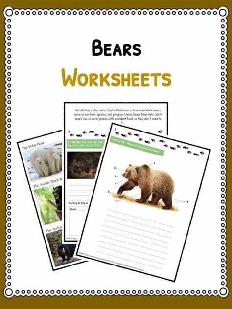 Brown Bear Brown Bear Worksheets Grizzly Bear Facts Information
