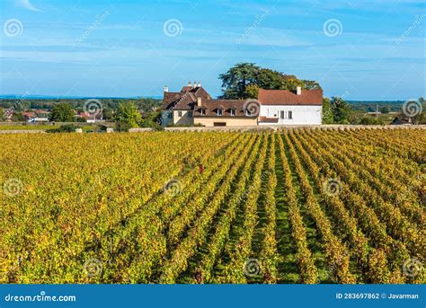 Chateau With Vineyards In The Autumn Season Burgundy France Stock